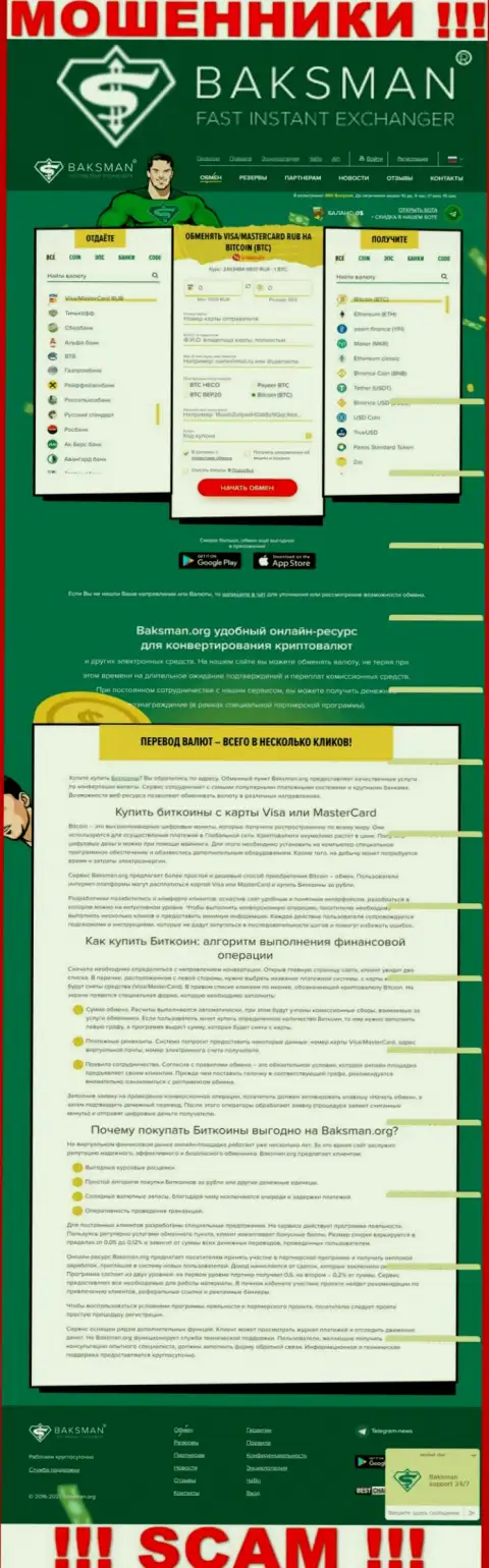 Внешний вид официального web-сайта мошеннической компании BaksMan