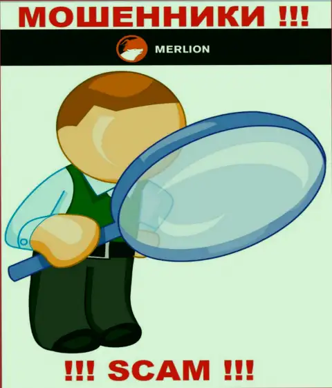 Так как работу Merlion Ltd Com абсолютно никто не контролирует, а значит совместно работать с ними рискованно
