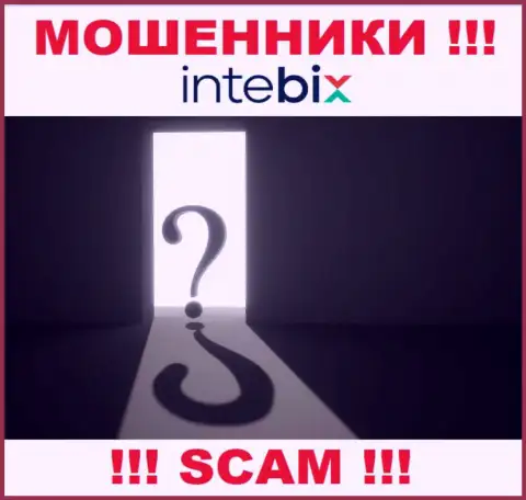 Остерегайтесь сотрудничества с internet-шулерами Intebix - нет инфы о официальном адресе регистрации