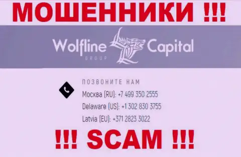 Будьте крайне бдительны, если вдруг звонят с незнакомых номеров телефона, это могут оказаться шулера Wolfline Capital