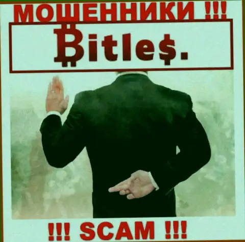 Не ведитесь на заоблачную прибыль с дилинговой компанией Bitles - это капкан для доверчивых людей