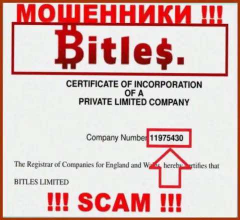 Регистрационный номер кидал Битлес, с которыми не стоит совместно работать - 11975430