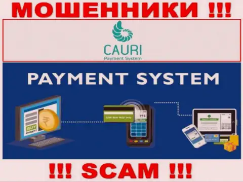 Ворюги Cauri LTD, орудуя в области Платежная система, лишают денег доверчивых клиентов
