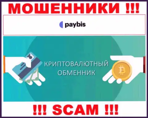 Крипто обменник - вид деятельности противозаконно действующей организации PayBis