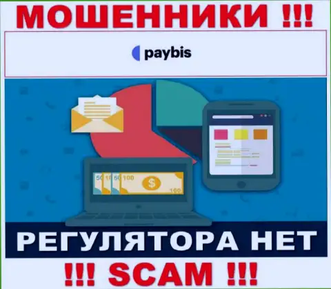У PayBis на web-сайте не найдено сведений о регуляторе и лицензии конторы, а следовательно их вовсе нет