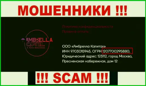 ООО Амбрелла Капитал internet-мошенников Umbrella Capital зарегистрировано под этим номером регистрации - 207700295880