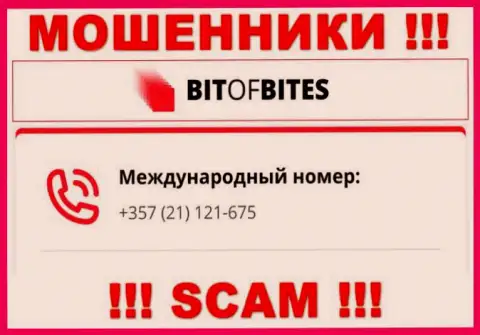 С какого именно номера телефона будут звонить интернет мошенники из организации BitOfBites Com неизвестно, у них их масса