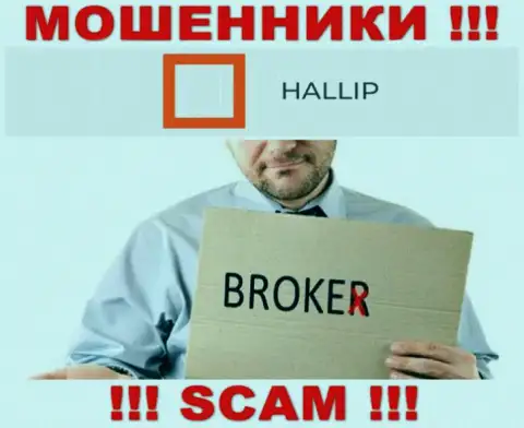 Род деятельности интернет-ворюг Халлип - это Broker, однако знайте это обман !!!