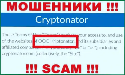 Компания Криптонатор находится под управлением компании OOO Криптонатор