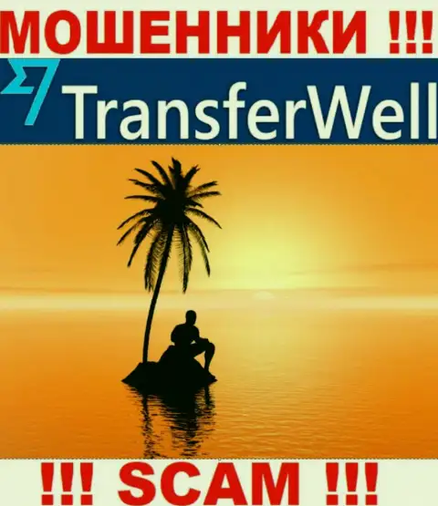 Юрисдикция TransferWell Net скрыта, именно поэтому перед отправкой кровно нажитых лучше подумать дважды
