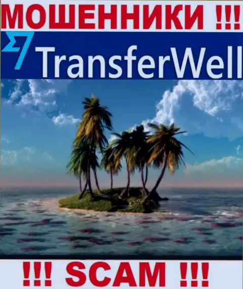 Не попадите в загребущие лапы мошенников TransferWell - скрыли информацию о местонахождении