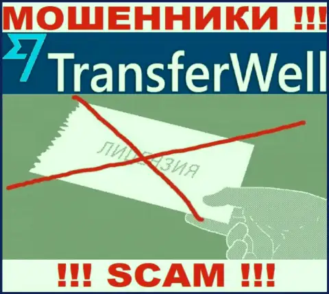 Вы не сможете откопать инфу об лицензии мошенников TransferWell Net, так как они ее не имеют