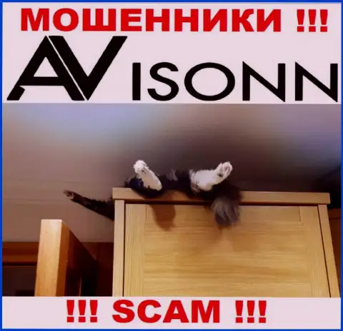 На интернет-портале мошенников Avisonn Com Вы не разыщите инфы о их регуляторе, его НЕТ !!!