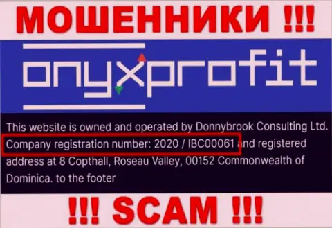 Регистрационный номер, который присвоен конторе Onyx Profit - 2020 / IBC00061