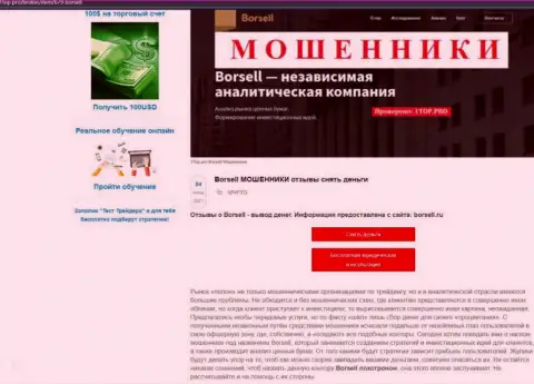 Обзор противозаконных деяний scam-проекта Borsell Ru - это МОШЕННИКИ !