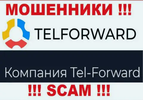 Юридическое лицо TelForward Net - Тел-Форвард, такую инфу показали мошенники у себя на сайте