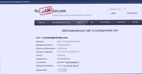 Интернет-сервис BudriganTrade Сom на территории РФ был заблокирован Генпрокуратурой