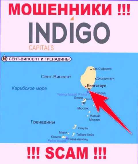 Разводилы Indigo Capitals расположились на территории - Kingstown, St Vincent and the Grenadines