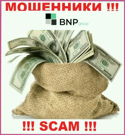 В компании BNP-Ltd Net Вас ожидает слив и депозита и последующих денежных вложений - это ВОРЫ !!!