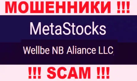 Юридическое лицо мошенников МетаСтокс Ко Ук это Wellbe NB Aliance LLC
