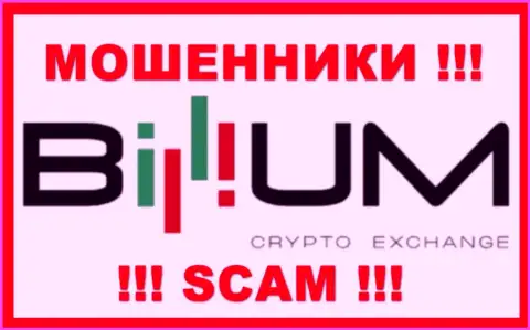 Лого ЖУЛИКА Billium Com