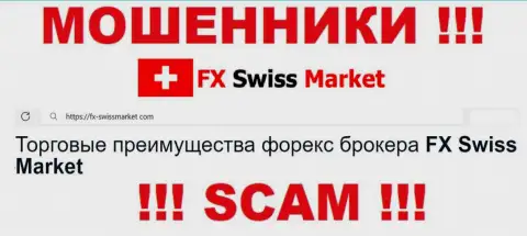 Вид деятельности FX SwissMarket: Forex - хороший заработок для интернет-лохотронщиков