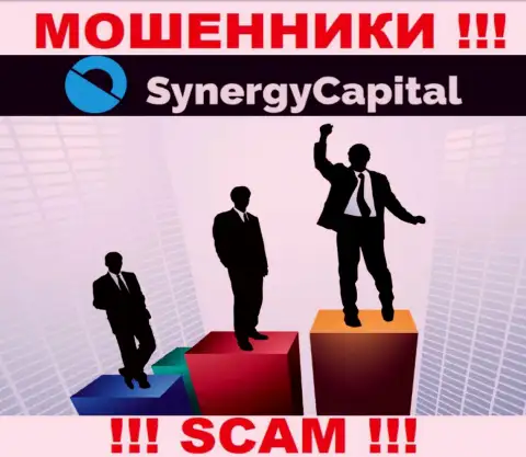Synergy Capital предпочитают оставаться в тени, сведений о их руководстве вы не найдете