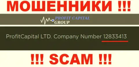 Номер регистрации Profit Capital Group, который предоставлен мошенниками у них на портале: 12833413