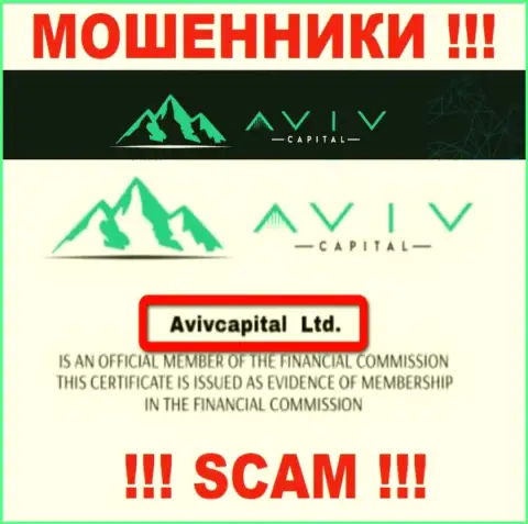 Вот кто руководит брендом АвивКапитал Лтд это AvivCapital Ltd