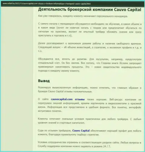 Дилинговый центр Cauvo Capital был представлен в информационном материале на сайте nsllab ru