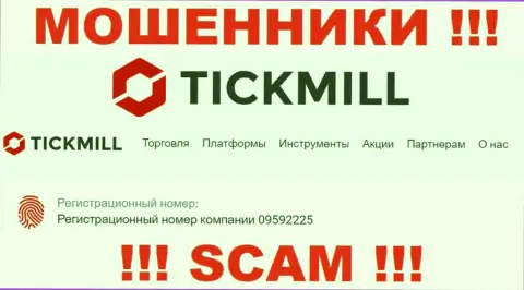 Наличие регистрационного номера у Tickmill Ltd (09592225) не говорит о том что контора солидная