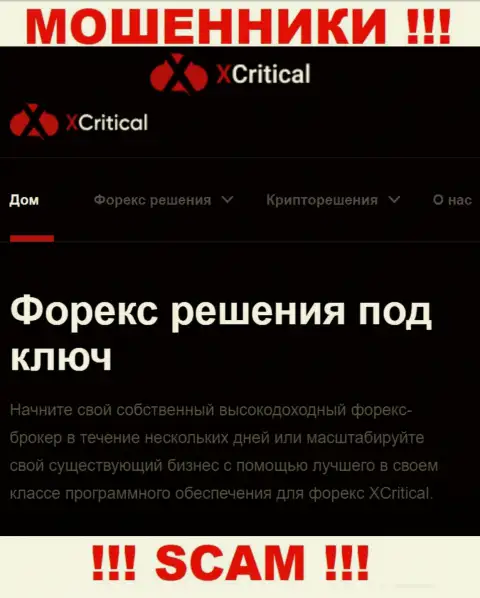 XCritical - это подозрительная контора, направление работы которой - ФОРЕКС