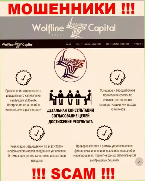 Не стоит верить, что область деятельности Wolfline Capital - Финансовый консалтинг легальна - это обман